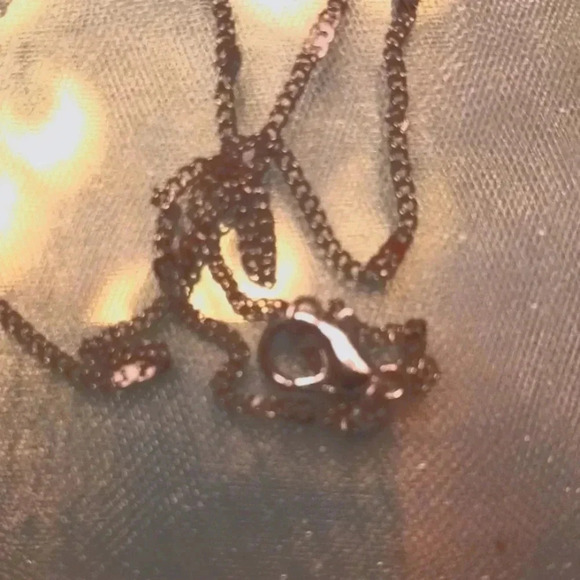 NWT teal heart charm with stainless steel necklace.. - Picture 3 of 3